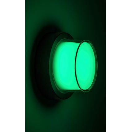 Rabalux - LED RGBW Aplique de exterior regulable LED/10W/230V IP54 Wi-Fi Tuya