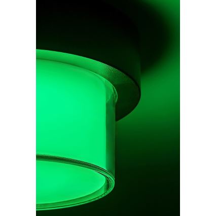 Rabalux - LED RGBW Aplique de exterior regulable LED/10W/230V IP54 Wi-Fi Tuya