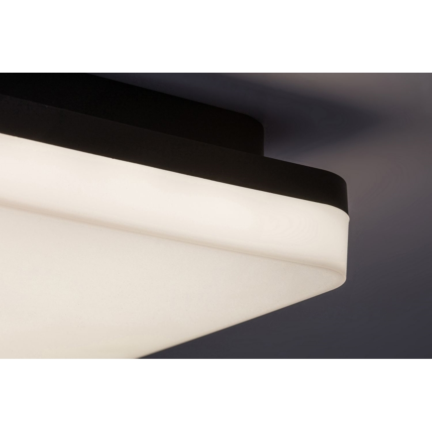 Rabalux - Lámpara de techo LED para baño LED/24W/230V IP54