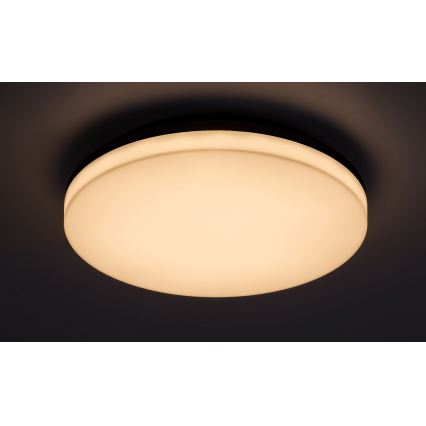 Rabalux - Lámpara de techo LED para baño LED/24W/230V IP54