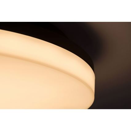 Rabalux - Lámpara de techo LED para baño LED/24W/230V IP54
