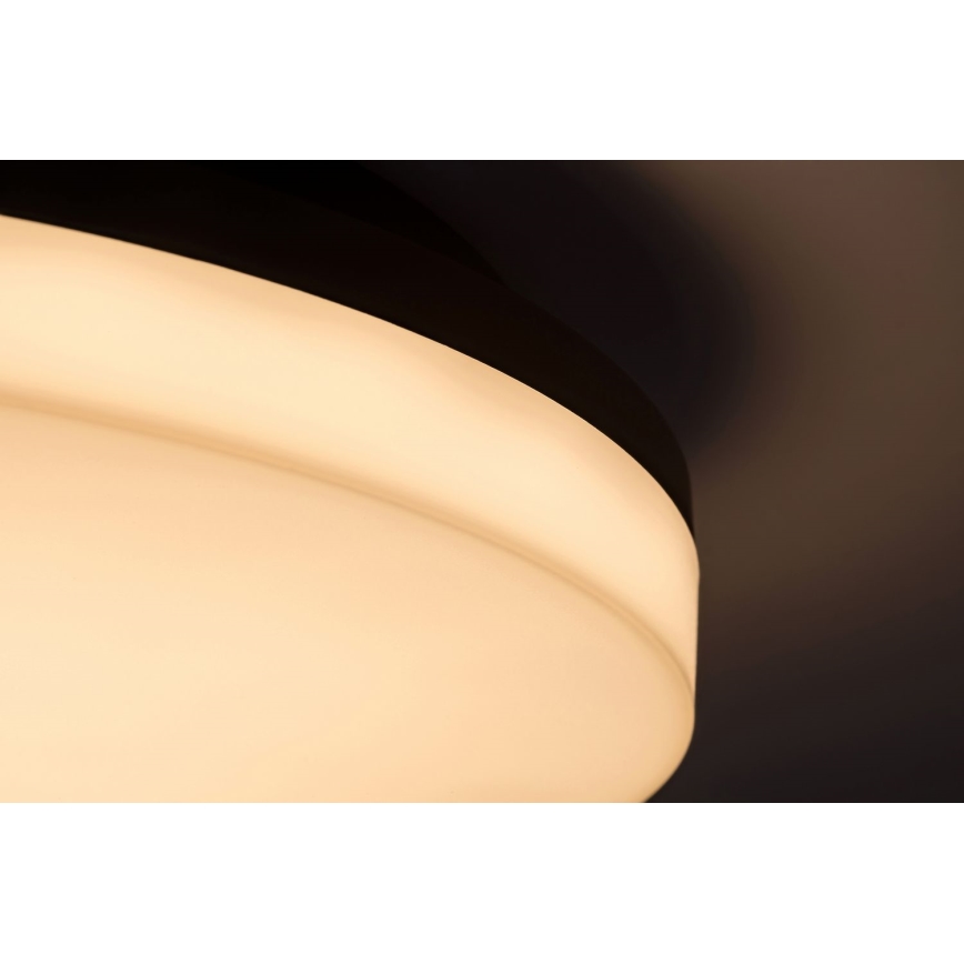 Rabalux - Lámpara de techo LED para baño LED/24W/230V IP54