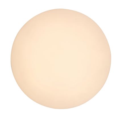 Rabalux - Lámpara de techo LED para baño LED/24W/230V IP54