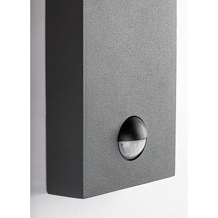 Rabalux - Aplique de exterior con sensor de movimiento 1xE27/40W/230V IP44