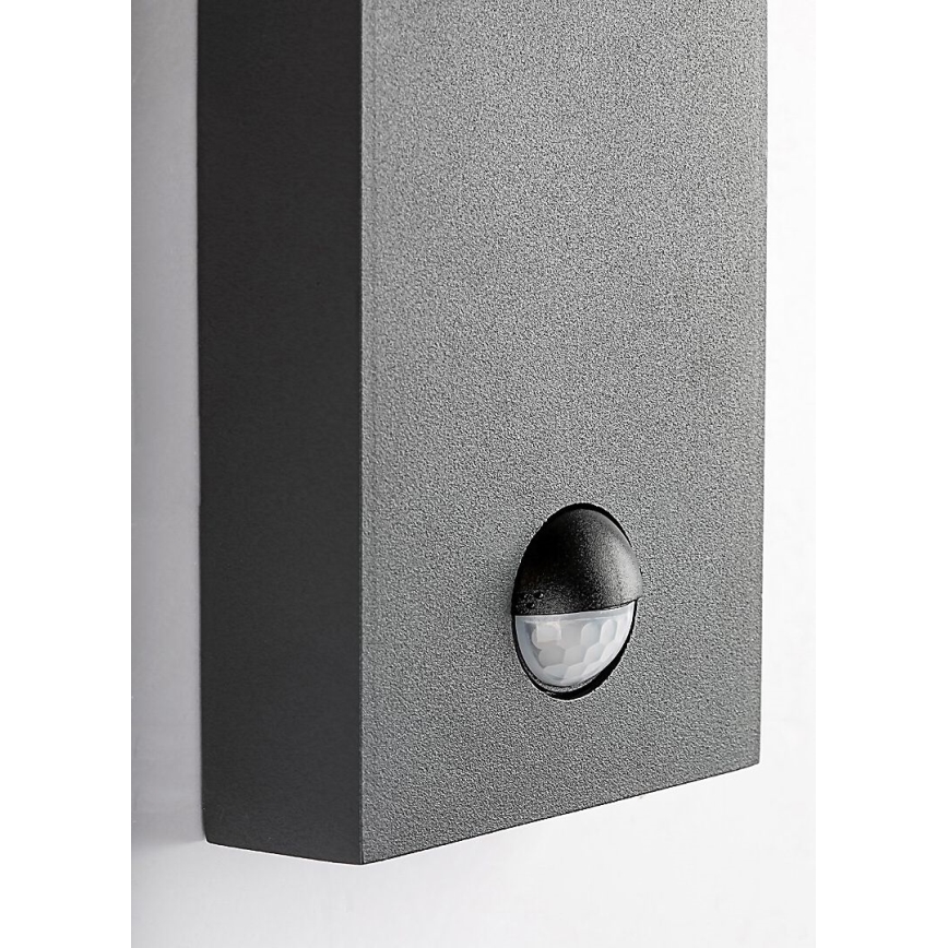 Rabalux - Aplique de exterior con sensor de movimiento 1xE27/40W/230V IP44