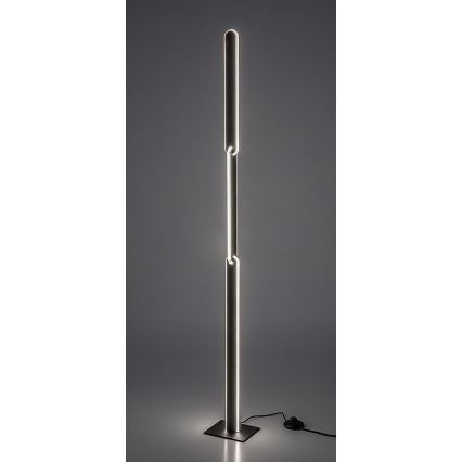Rabalux - Lámpara de pie LED regulable LED/33W/230V 3000/4000K negro
