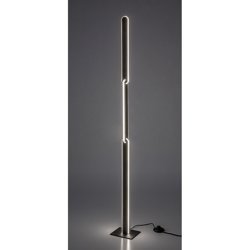 Rabalux - Lámpara de pie LED regulable LED/33W/230V 3000/4000K negro