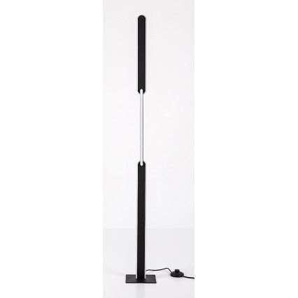 Rabalux - Lámpara de pie LED regulable LED/33W/230V 3000/4000K negro