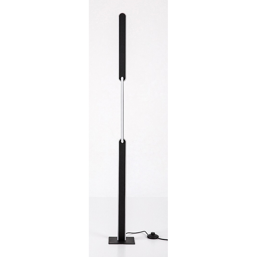 Rabalux - Lámpara de pie LED regulable LED/33W/230V 3000/4000K negro