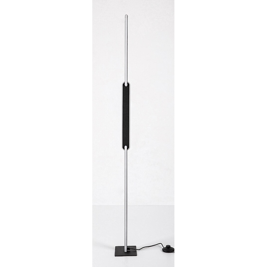 Rabalux - Lámpara de pie LED regulable LED/33W/230V 3000/4000K negro