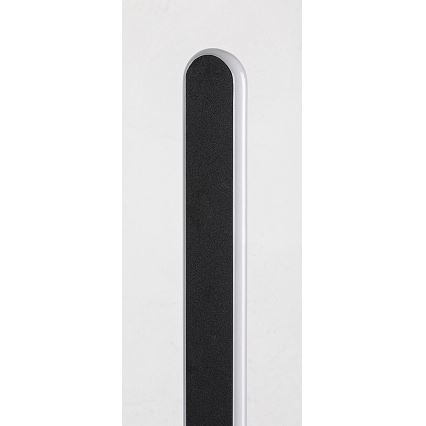 Rabalux - Lámpara de pie LED regulable LED/33W/230V 3000/4000K negro
