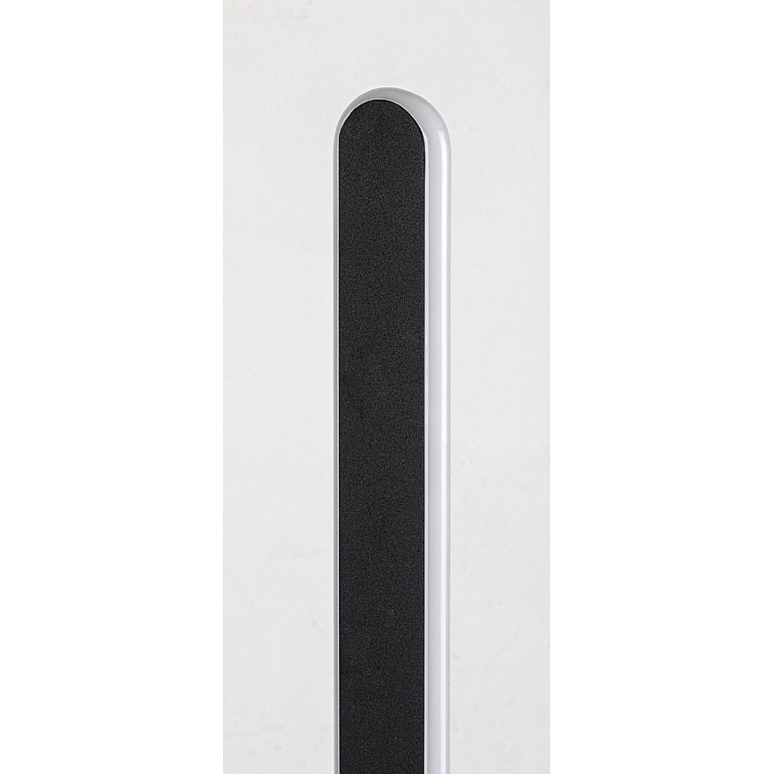 Rabalux - Lámpara de pie LED regulable LED/33W/230V 3000/4000K negro