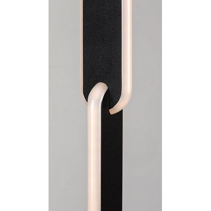 Rabalux - Lámpara de pie LED regulable LED/33W/230V 3000/4000K negro