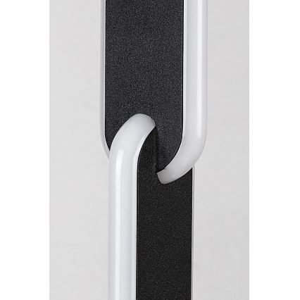 Rabalux - Lámpara de pie LED regulable LED/33W/230V 3000/4000K negro
