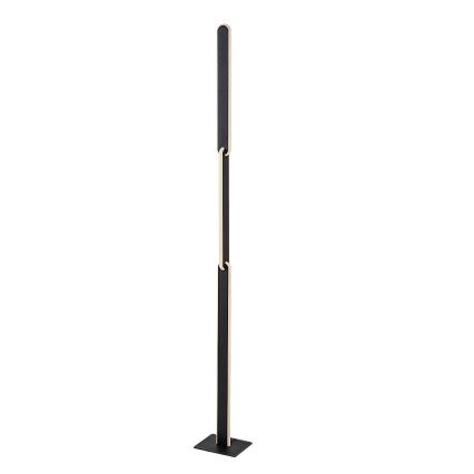 Rabalux - Lámpara de pie LED regulable LED/33W/230V 3000/4000K negro