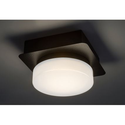 Rabalux - Plafón LED para baño LED/5W/230V IP44 4000K negro