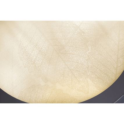Rabalux - Luminaria de techo para baño 2xE27/40W/230V IP44 Ø 30 cm