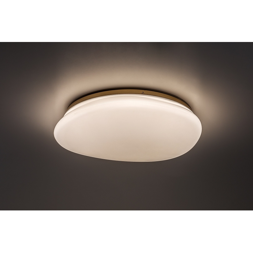 Rabalux - Plafón LED para baño LED/24W/230V IP44 Ø 41 cm