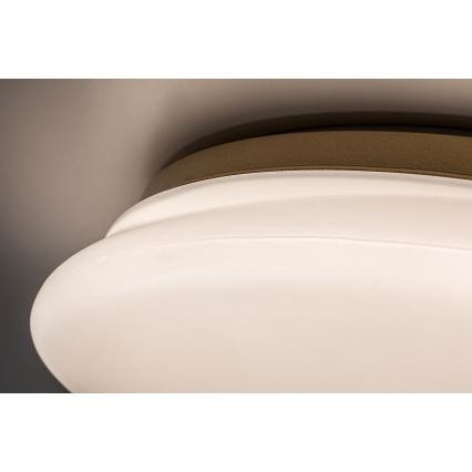 Rabalux - Plafón LED para baño LED/24W/230V IP44 Ø 41 cm