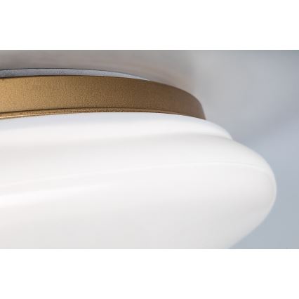 Rabalux - Plafón LED para baño LED/24W/230V IP44 Ø 41 cm