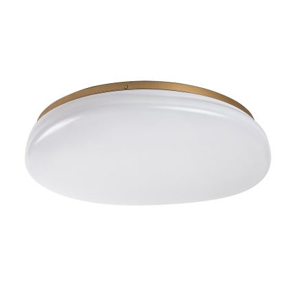 Rabalux - Plafón LED para baño LED/24W/230V IP44 Ø 41 cm