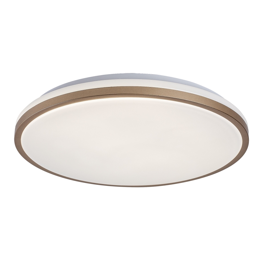 Rabalux - Lámpara de techo LED para baño/LED/18W/230V IP44 Ø 34 cm