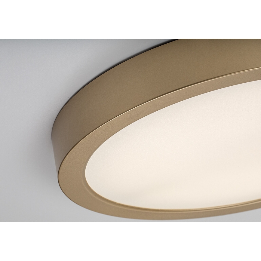 Rabalux - Plafón LED de techo para baño LED/30W/230V Ø 30 cm IP44 dorado
