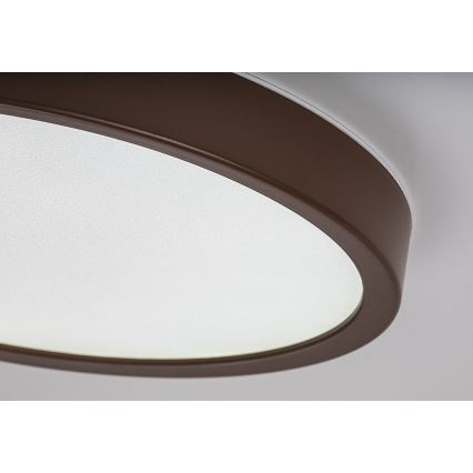 Rabalux - Plafón LED para baño, 18W, 230V, 3000/4000/6000K, Ø 29 cm, IP44, marrón