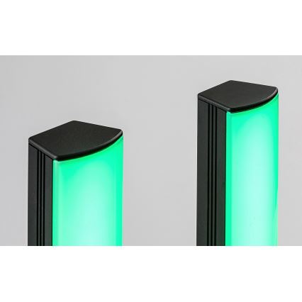 Rabalux - SET 2x LED RGB Lámpara de mesa regulable PACO LED/5W/5V + control remoto