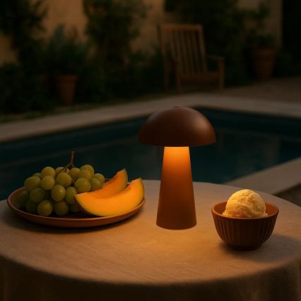Rabalux - Lámpara LED regulable recargable con control táctil para exterior LED/1,5W/5V IP44 1200 mAh USB marrón