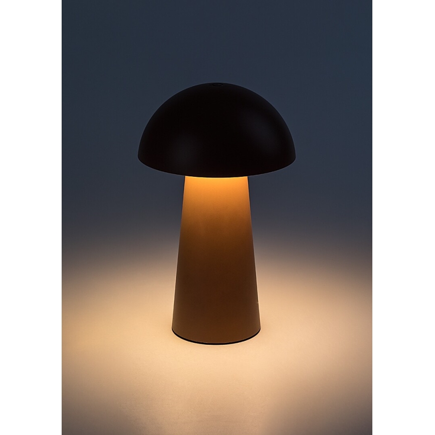 Rabalux - Lámpara LED regulable recargable con control táctil para exterior LED/1,5W/5V IP44 1200 mAh USB marrón