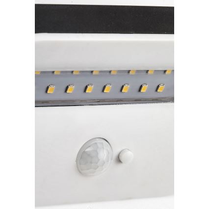 Rabalux - Lámpara solar LED con sensor LED/3,2W/3,7V IP44 1200 mAh