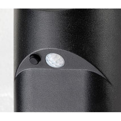 Rabalux - Lámpara solar LED con sensor LED/3,6W/3,7V IP44