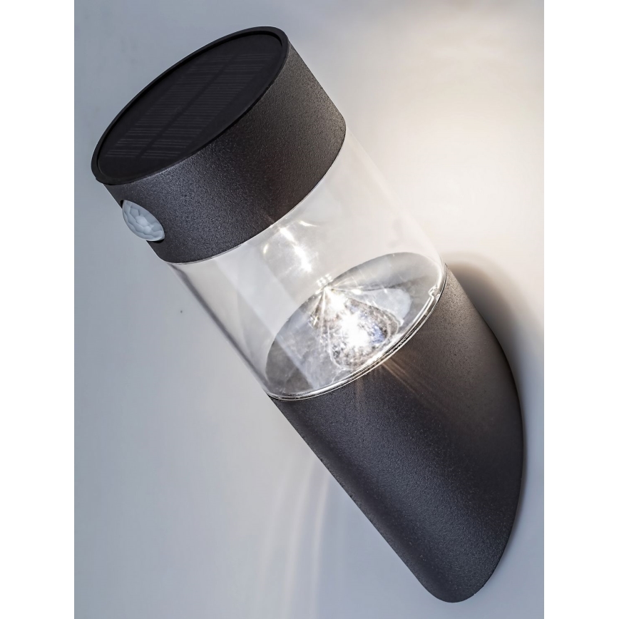 Rabalux - Lámpara solar LED con sensor LED/1,5W/3,7V IP44