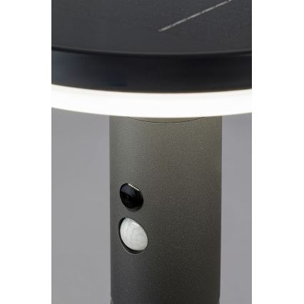 Rabalux - Lámpara solar LED con sensor LED/10W/3,7V IP44 2500 mAh