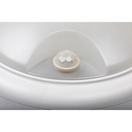 Rabalux - Lámpara de pared LED para exterior con sensor LED/15W/230V IP54