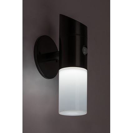Rabalux - Lámpara de pared solar LED RGB con sensor LED/1W/3,7V IP44 negra 1200 mAh