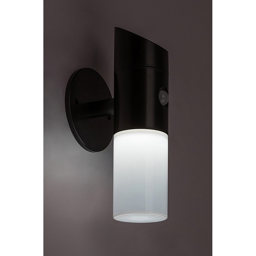 Rabalux - Lámpara de pared solar LED RGB con sensor LED/1W/3,7V IP44 negra 1200 mAh