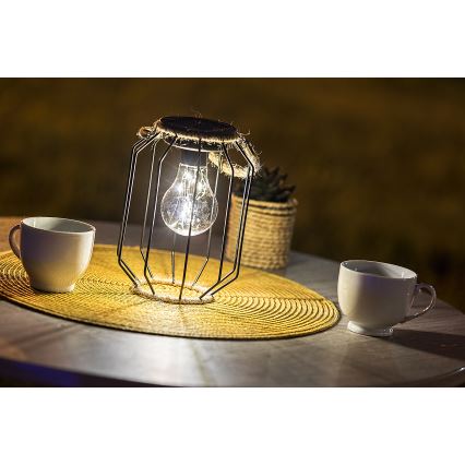 Rabalux - Lámpara solar LED LED/0,2W/1,2V IP44 600 mAh