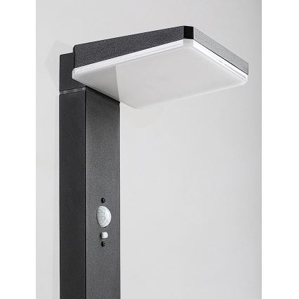 Rabalux - Lámpara solar exterior LED regulable con sensor LED/4,4W/3,7V IP54 antracita 2200 mAh
