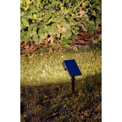 Rabalux - Lámpara solar LED LED/0,5W/3,7V IP65 negra 3000 mAh