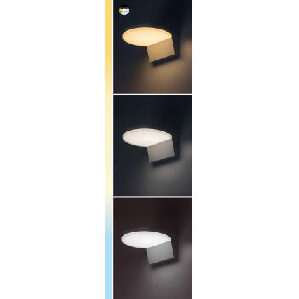 Rabalux - Lámpara de pared LED para exterior LED/9W/230V 2700/4000/6500K IP54 negra