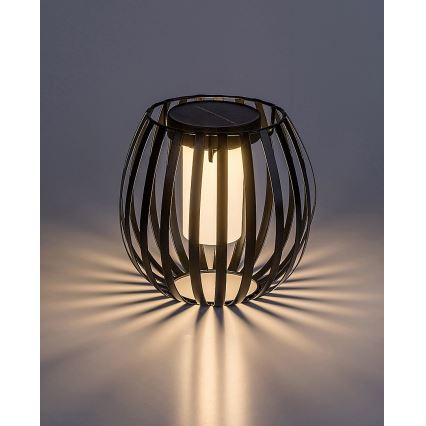 Rabalux - Lámpara solar LED LED/1W/1,2V 300mAh IP44