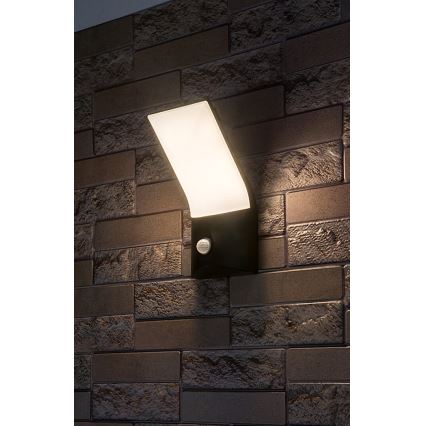 Rabalux - Aplique LED para exterior con sensor TOLNA LED/10W/230V IP54