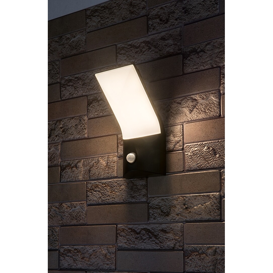 Rabalux - Aplique LED para exterior con sensor TOLNA LED/10W/230V IP54