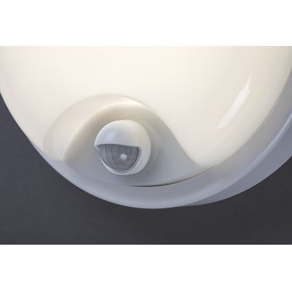Rabalux - Aplique de pared LED para exterior con sensor, 18 W, 230 V, IP65, blanco