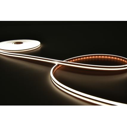 Rabalux - Tira LED RGBW regulable LED/21W/230V 5 m IP67 + control remoto