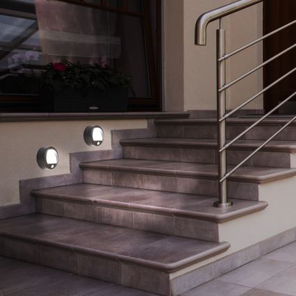 Rabalux - Aplique LED exterior con sensor LED/1,5W/3xAA IP44 negro