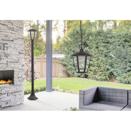 Rabalux - Lámpara LED colgante exterior LED/8W/230V IP44