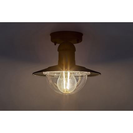 Rabalux - Plafón exterior 1xE27/60W IP44